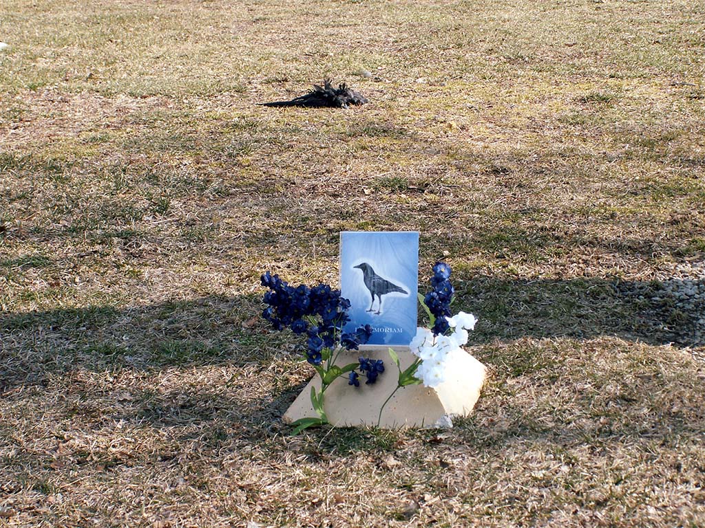 roadkill shrine